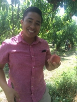 Peach Picking