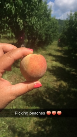 Small Peach