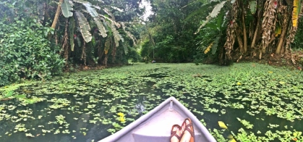 Canoe Ride at the Sloth Sanc
